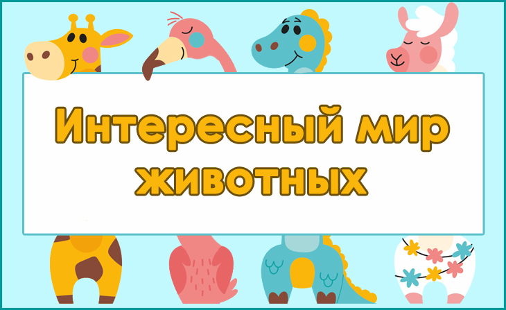 VI Всероссийский творческий конкурс "Интересный мир животных"