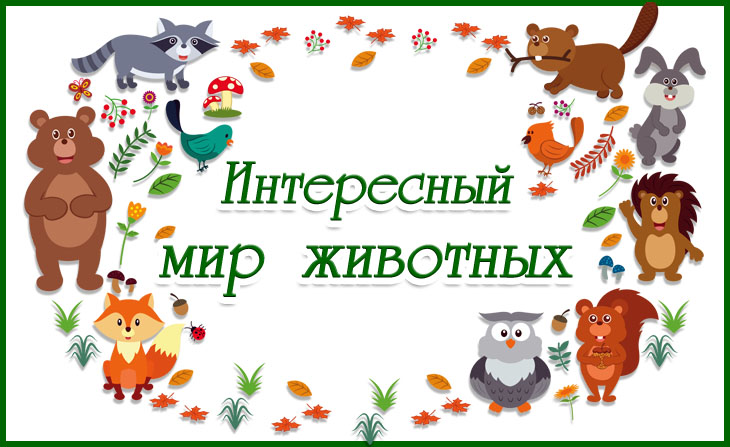 Всероссийский творческий конкурс для детей и педагогов "Интересный мир животных"