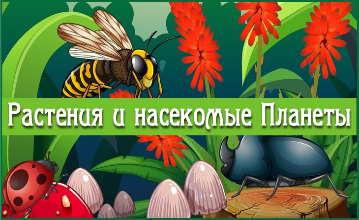 Международный творческий конкурс "Растения и насекомые Планеты"