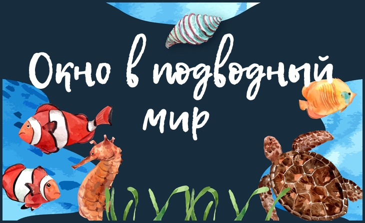 V Всероссийский творческий конкурс "Окно в подводный мир"