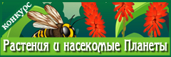 VIII Международный творческий конкурс "Растения и насекомые Планеты"