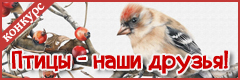 XV Всероссийский творческий конкурс "Птицы - наши друзья!"