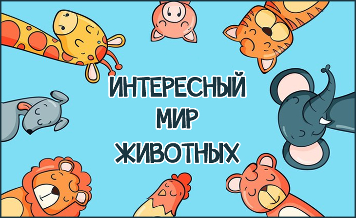 XIV Всероссийский творческий конкурс "Интересный мир животных"