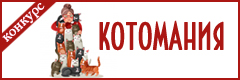 XIV Всероссийский творческий конкурс "Котомания"