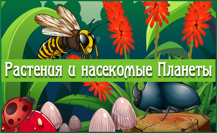 X Всероссийский творческий конкурс "Растения и насекомые Планеты"