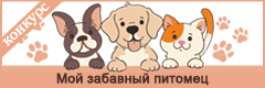 XIII Всероссийский творческий конкурс "Мой забавный питомец"