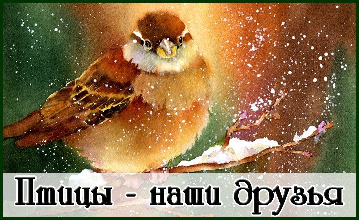 III Всероссийский детский творческий конкурс "Птицы - наши друзья!"