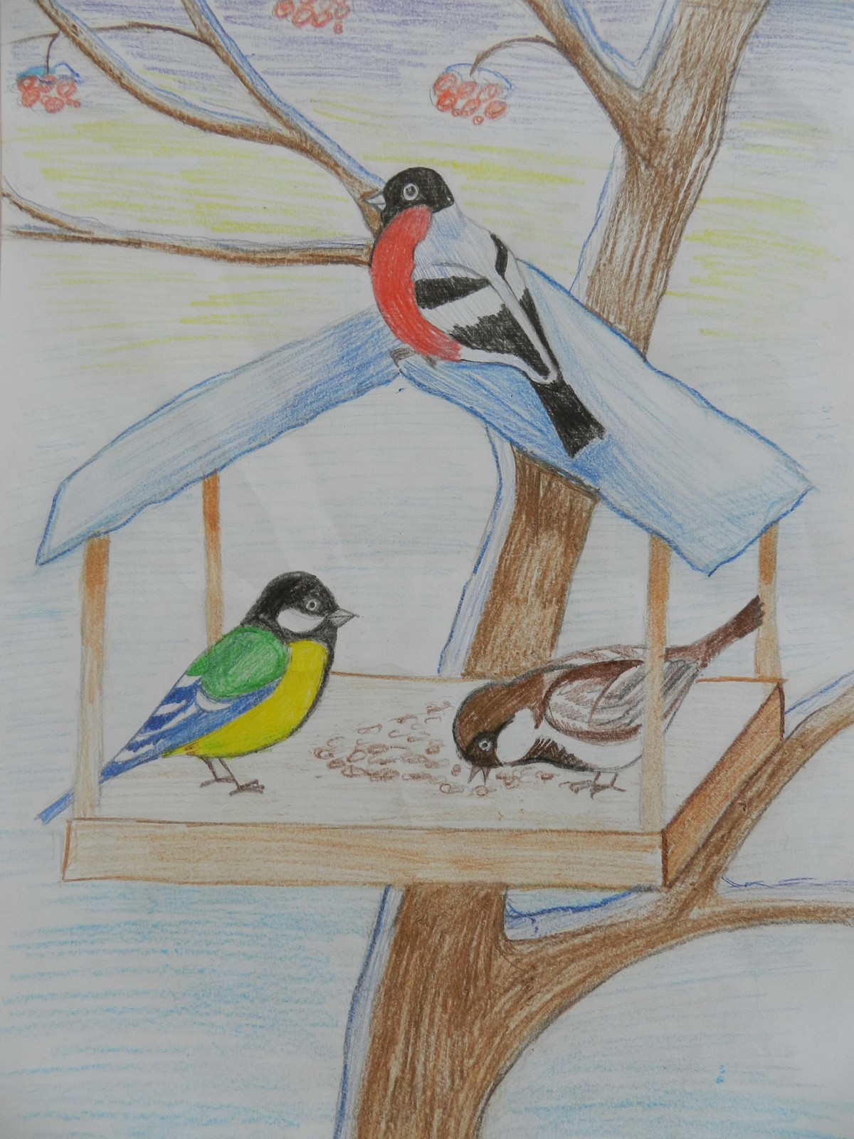 Рисунок встречаем пернатых. Рисование птицы на кормушке. Птицы наши друзья рисунки. Птицы нашего края рисунок. Синичка в кормушке рисунок.